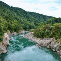 Waikato – Christina Fink / Shutterstock
