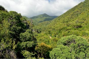 Pohoří Sierra Maestra – Rafal Cichawa / Shutterstock