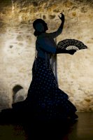 Tanečnice flamenca – prunkova/Pixabay.com