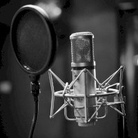 Studiový mikrofon – Photo by Leo Wieling on Unsplash