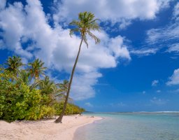 Saint Anne, Guadeloupe – Photo by Hakan Tas on Unsplash