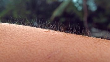 Detail lidské ruky se zimou naježenými chlupy – Flystock / Shutterstock