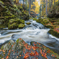 Doubrava – Artush / Shutterstock