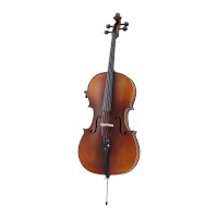 Violoncello – All Music Instruments/Shutterstock