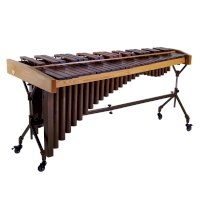 Marimbafon – All Music Instruments/Shutterstock