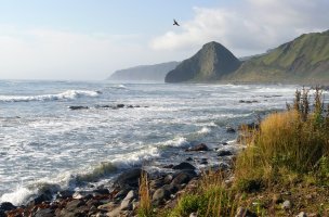 Kunašir – RedTC / Shutterstock