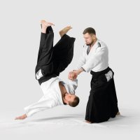 Aikido – My Good Images / Shutterstock