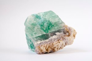 Beryl – KaterinaSB / Shutterstock
