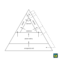 Pyramidy ekologické – CoJeCo.cz (CC BY-SA 4.0)