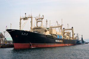 Japonská velrybářská loď Nisshin Maru, Kagoshima, Japonsko (27.4.2008) – wdeon / Shutterstock