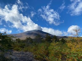 Asama – 9687 / Shutterstock