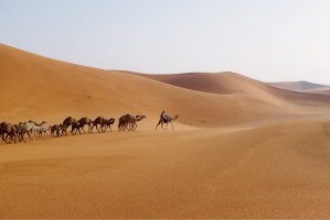 Poušť Dahna – sulit.photos / Shutterstock