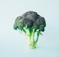 Brokolice – Photo by Annie Spratt on Unsplash