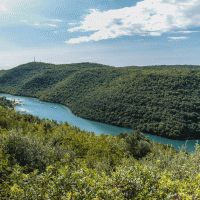 Lim – fokke baarssen / Shutterstock