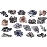 Biotity – KrimKate / Shutterstock