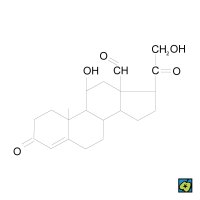 Aldosteron – CoJeCo.cz (CC BY-SA 4.0)