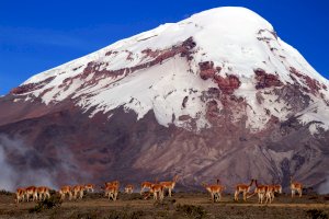 Chimborazo – Emiliano Barbieri / Shutterstock