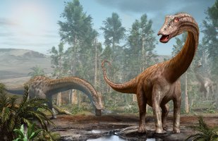 Diplodocus, 3D ilustrace – Warpaint / Shutterstock