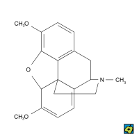 Thebain – CoJeCo.cz (CC BY-SA 4.0)