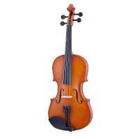 Housle – All Music Instruments/Shutterstock