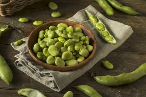Bob obecný (Faba vulgaris), lusky a semena – Brent Hofacker / Shutterstock