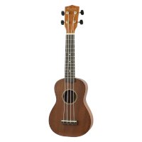 Ukulele – All Music Instruments/Shutterstock