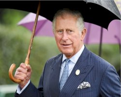 Princ Charles, Londýn (17.5.2017) – Bart Lenoir / Shutterstock