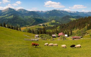 Karpaty, Ukrajina – Kuzmenko Viktoria photografer/Shutterstock