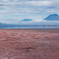 Natron – Danita Delimont / Shutterstock