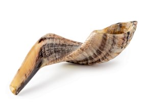 Šofar – Olga Mukashev/Shutterstock