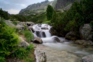 Řeka Mlynica – Rastislav Stur/Shutterstock