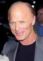 Ed-Harris, Los Angeles (17.9.2008) – s_bukley/Shutterstock