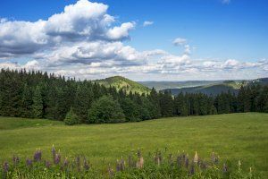 Durynský les – Bildagentur Zoonar GmbH/Shutterstock