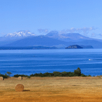 Taupo – N.Minton / Shutterstock