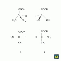 Enantiomerie: 1 L-alanin, 2 D-alanin – CoJeCo.cz (CC BY-SA 4.0)