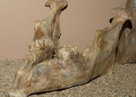 Fosilní nález dolní čelisti mamuta Zygolophodon borsoni – Piotr Velixar / Shutterstock