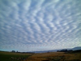 Stratus – paul prescott / Shutterstock