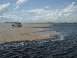 Soutok Amazonky a řeky Rio Negro – guentermanaus/Shutterstock