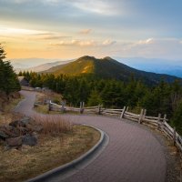 Mitchell – Clayton Townsend / Shutterstock