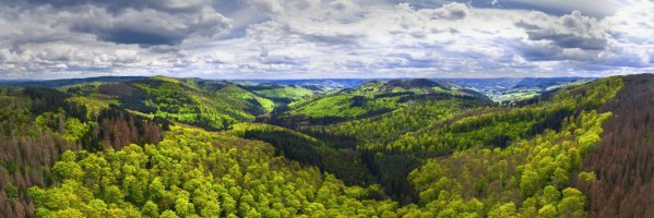 Rothaar – Tobias Arhelger / Shutterstock