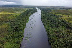 Řeka Orinoko – Yaikel Dorta/Shutterstock