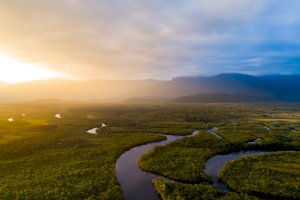 Amazonka – Gustavo Frazao/Shutterstock
