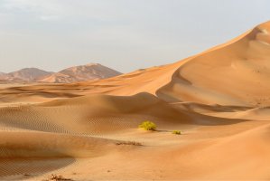 Poušť Rub al-Chálí – KamilloK / Shutterstock