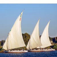 Feluka – meunierd/Shutterstock