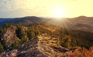 Národní park Šumava – jaroslava V / Shutterstock