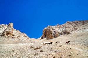 Pohoří Aladag – Gulseren Onder/Shutterstock