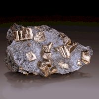 Pyrit (Helcmanovce, Slovensko) – Albert Russ/Shutterstock