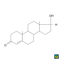 Testosteron – CoJeCo.cz (CC BY-SA 4.0)