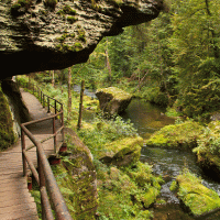 Kamenice – Karel Stipek / Shutterstock