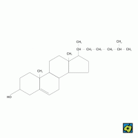 Cholesterol – CoJeCo.cz (CC BY-SA 4.0)